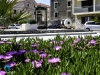 Tisno_Riva02